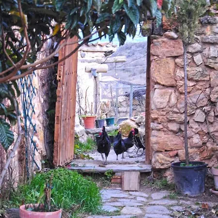 The Birdsong Country House *